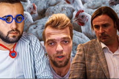 🐔 Pustolovine Elmedina ŠUGE & Meme LOJE
